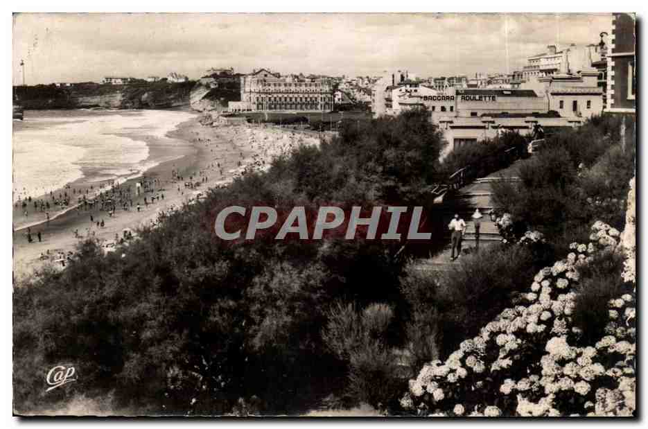 Biarritz CPM La plage et les hortensias