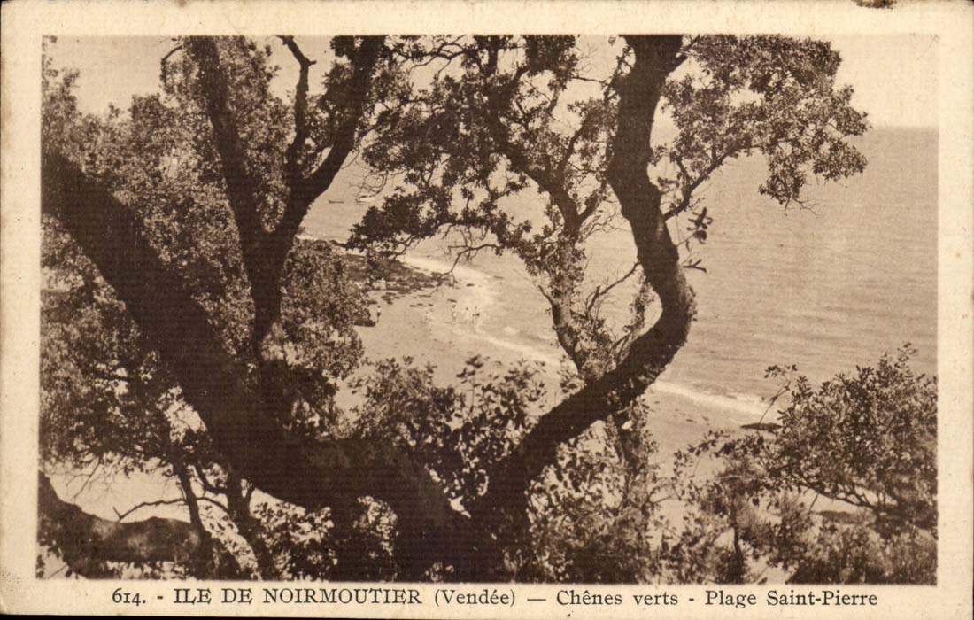 Ile de Noirmoutier CPA Chenes verts Plage saint Pierre