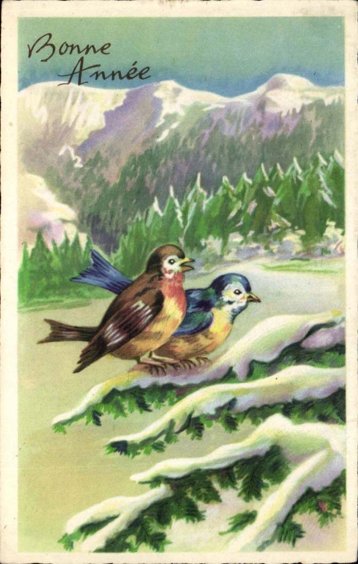 CPA Fantaisie Bonne annee oiseaux