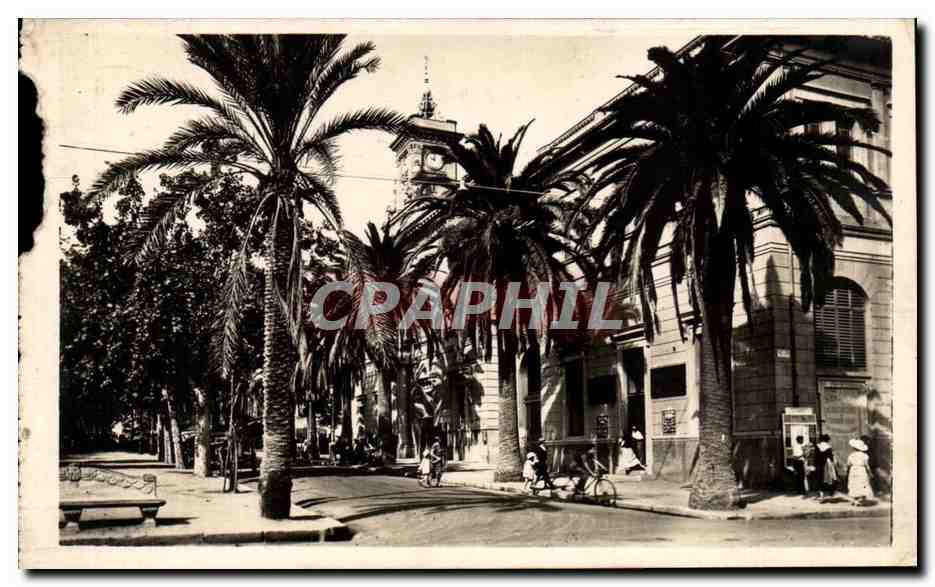 Place centrale avec palmiers et horloge — Ajaccio — Les Editions A. TOMASI