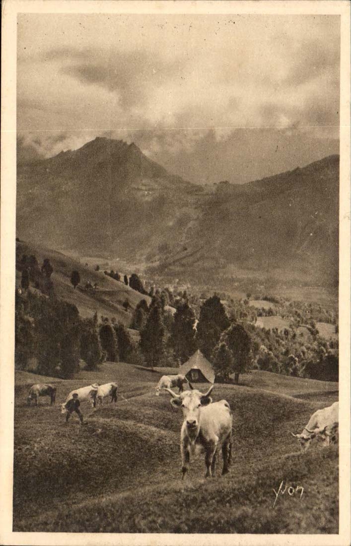 Pyrenees CPA Paturage sur la route du col d'Aubique (vaches)