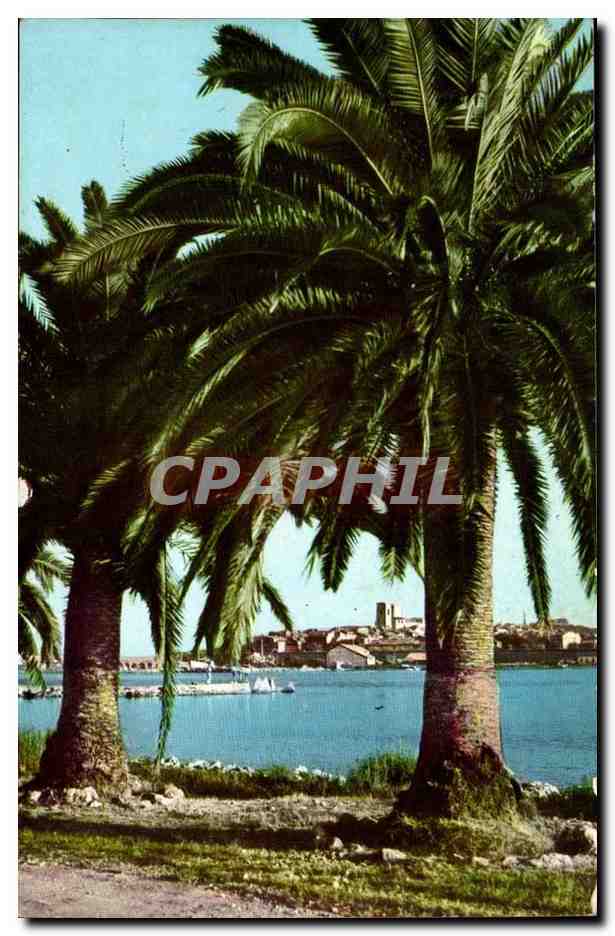 Antibes CPM Vue sur la vieille ville