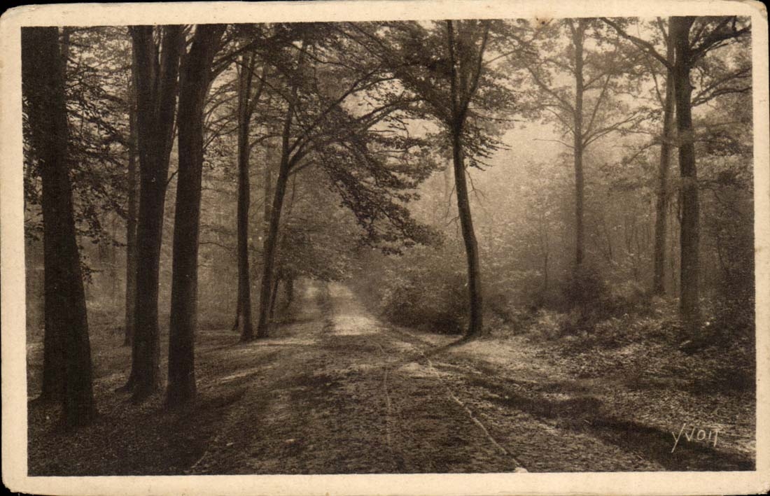 Un Coin de la Forêt — St-Germain-en-Laye (S.-et-O.) — Les Éditions d'Art YVON, Paris