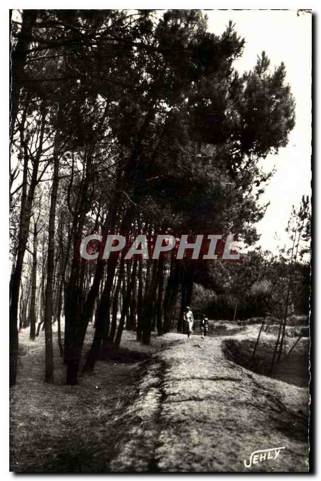 Bretignoles sur Mer - La Foret des Dunes CPA 