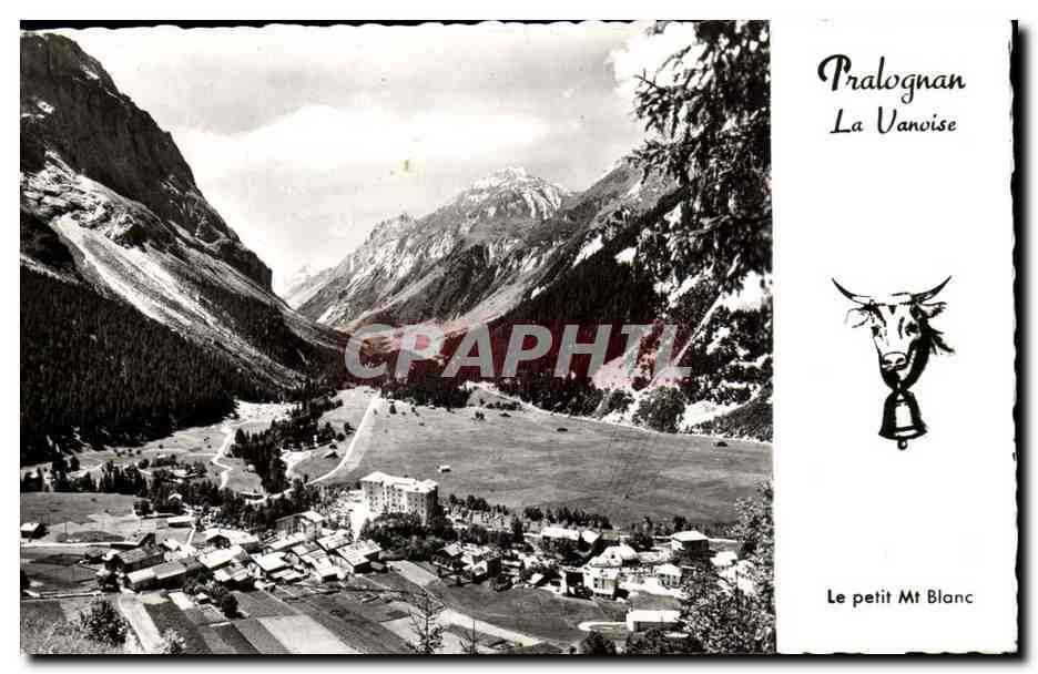 CPM Pralognan La Vanoise le petit Mont Blanc Vache