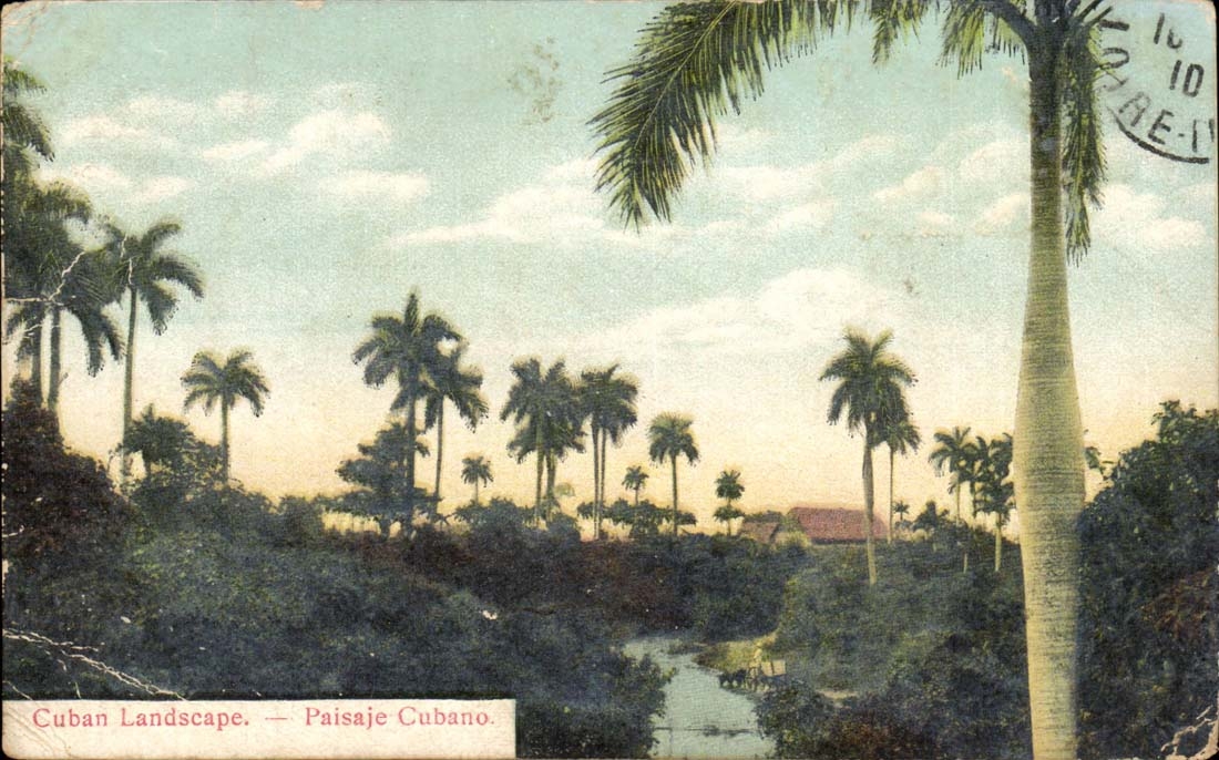 Cuba CPA Cuban landscape Paisaje Cubano
