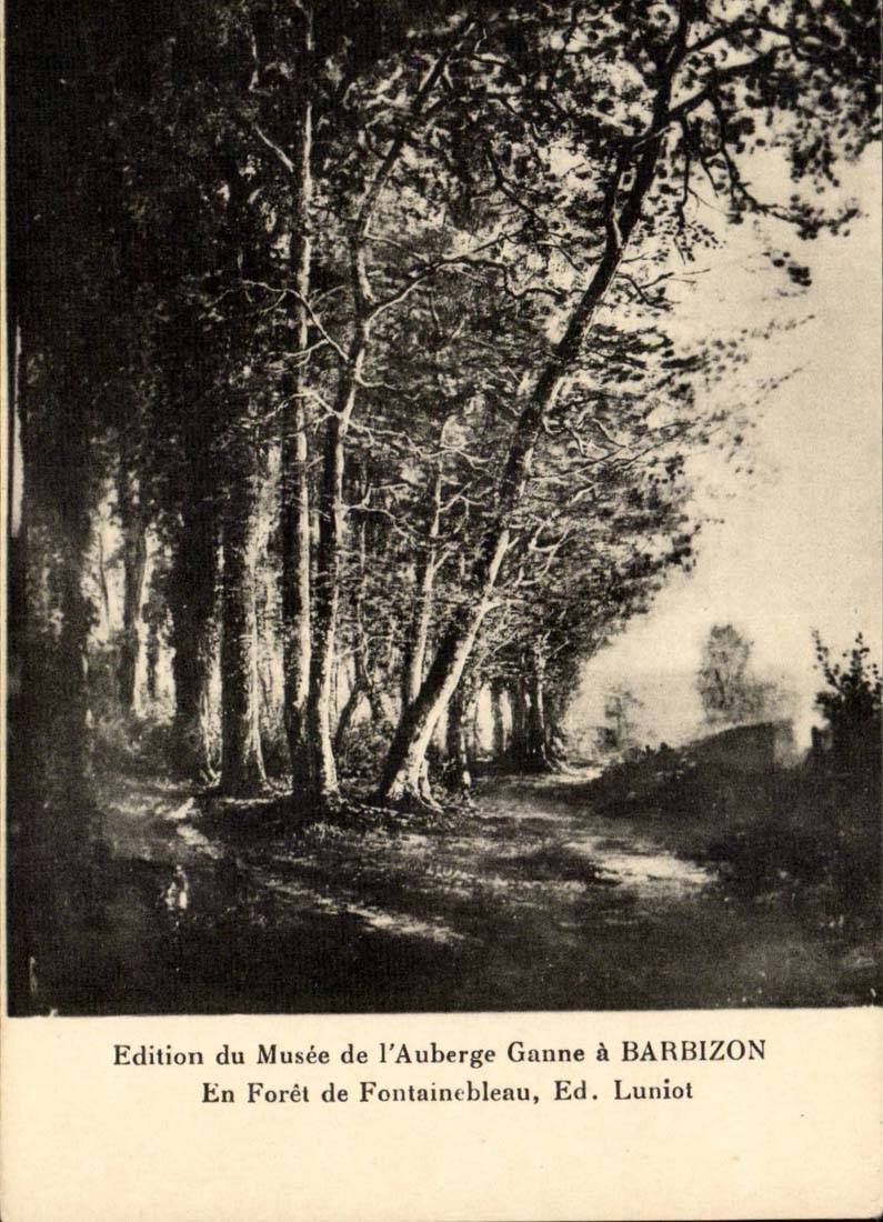 Forêt de Fontainebleau — Vue forestière — Edition du Musée de l'Auberge Ganne à Barbizon, Ed. Luniot