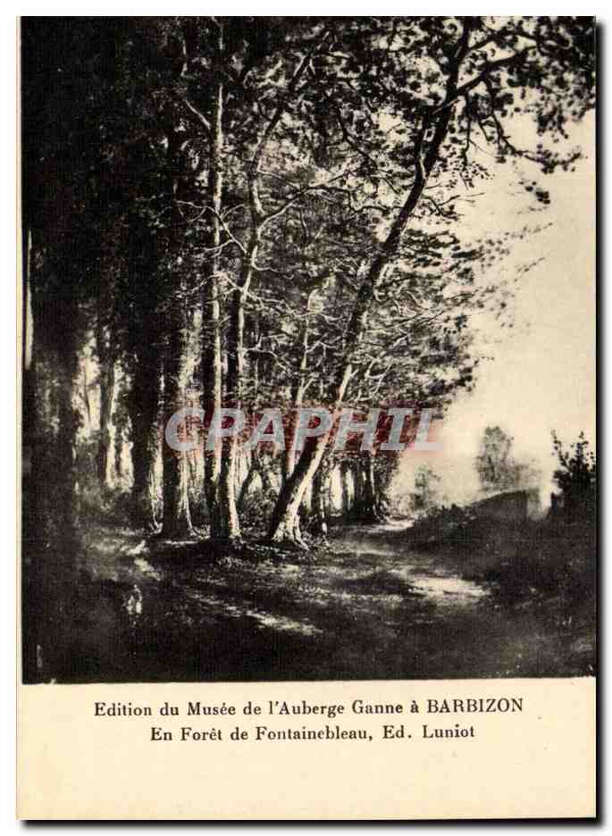 CPA En foret de Fontainebleau Ed Luniot Barbizon