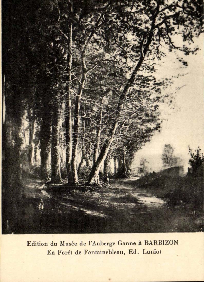 CPA En foret de Fontainebleau Ed Luniot Barbizon