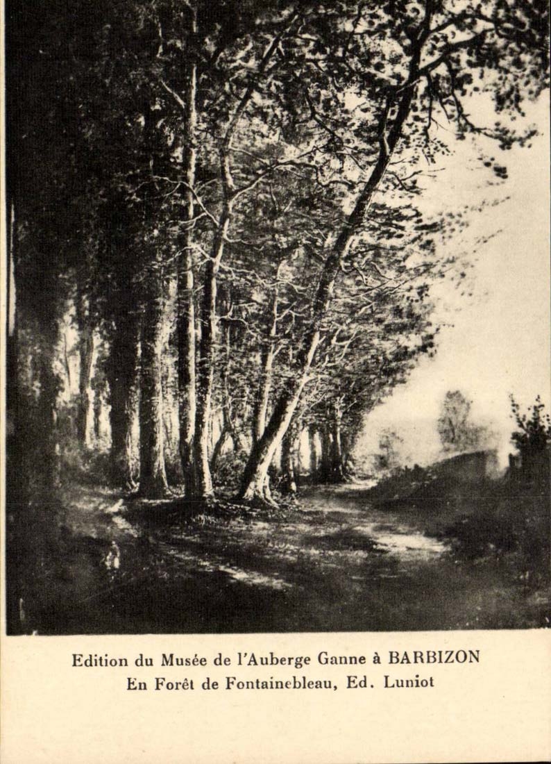 CPA En foret de Fontainebleau Ed Luniot Barbizon
