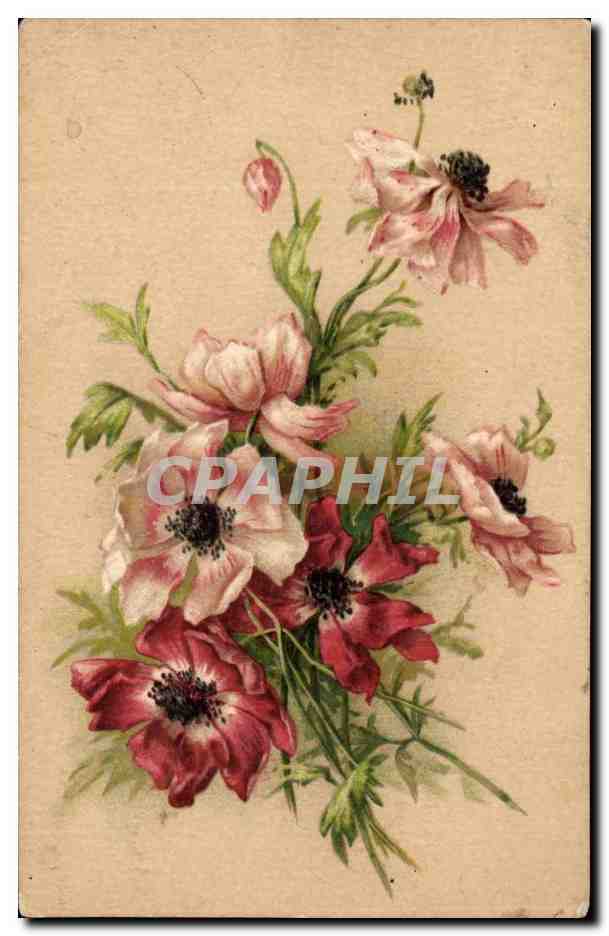 Fantaisie - Fleurs - beautiful flowers - CPA 