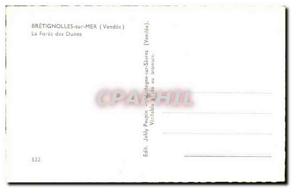 Bretignolles sur Mer - La Foret des Dunes - CPA  — Back