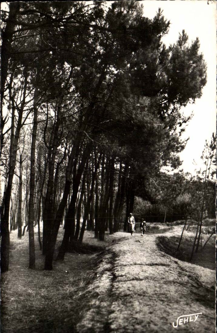 Bretignolles sur Mer - La Foret des Dunes - CPA 