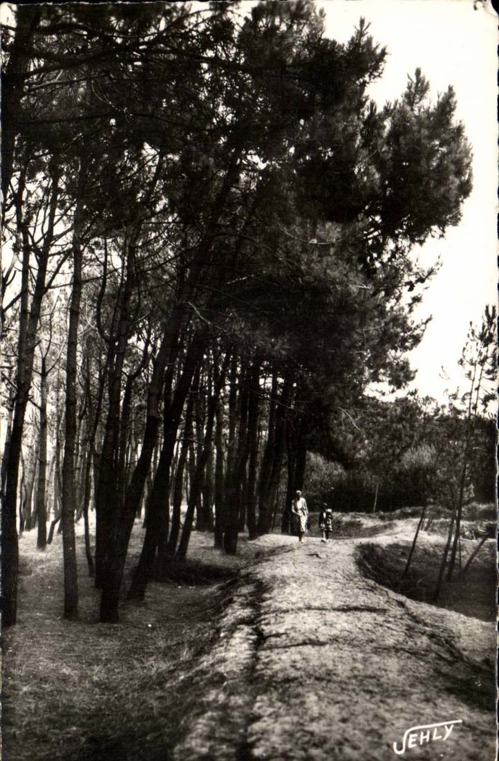 Bretignolles sur Mer - La Foret des Dunes - CPA 