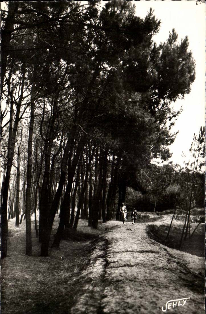 Bretignolles sur Mer - La Foret des Dunes - CPA 