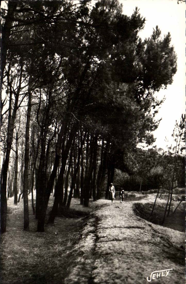 Bretignolles sur Mer - La Foret des Dunes - CPA 