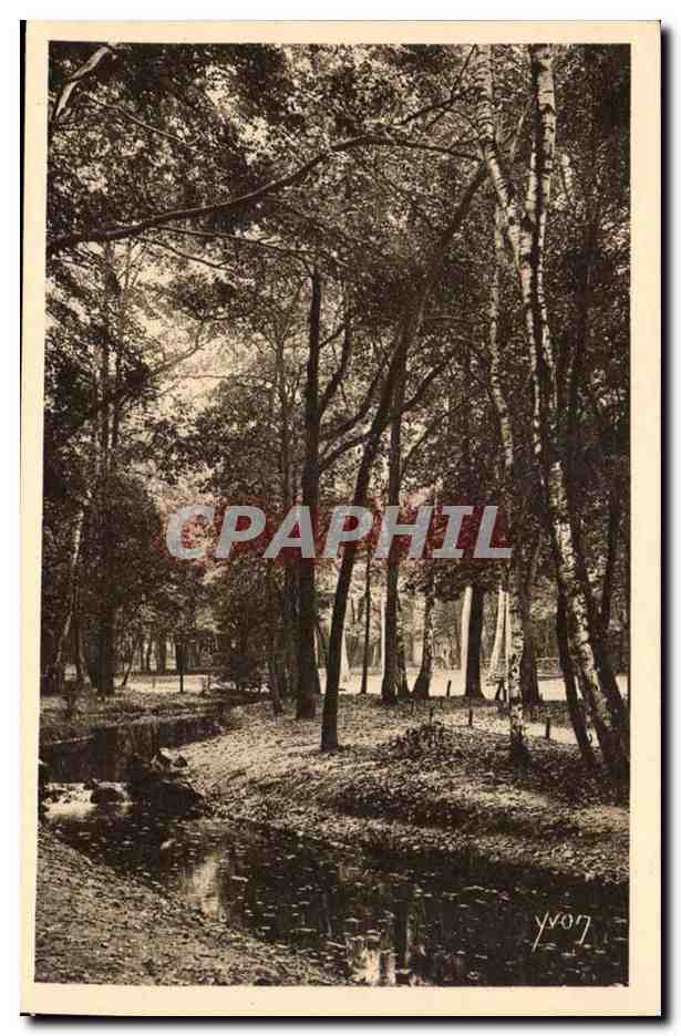Paris CPA Un coin du bois de Boulogne
