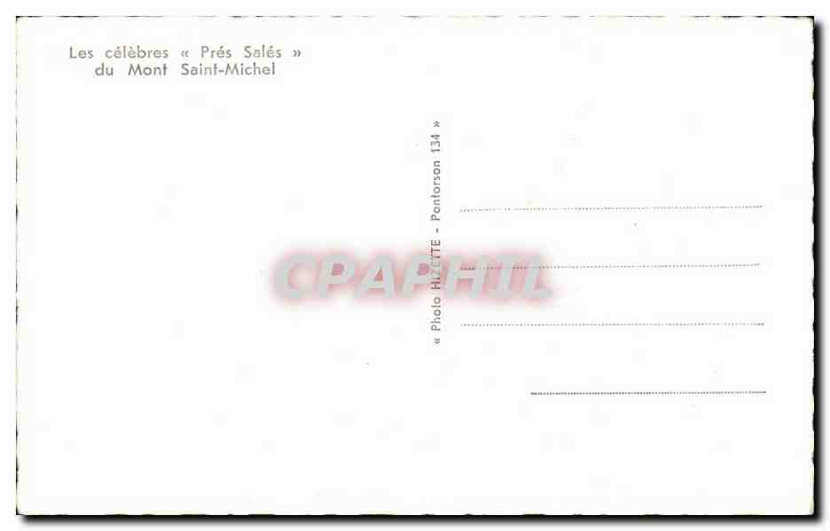 Mont Saint Michel CPA Les pres sales (moutons) — Verso
