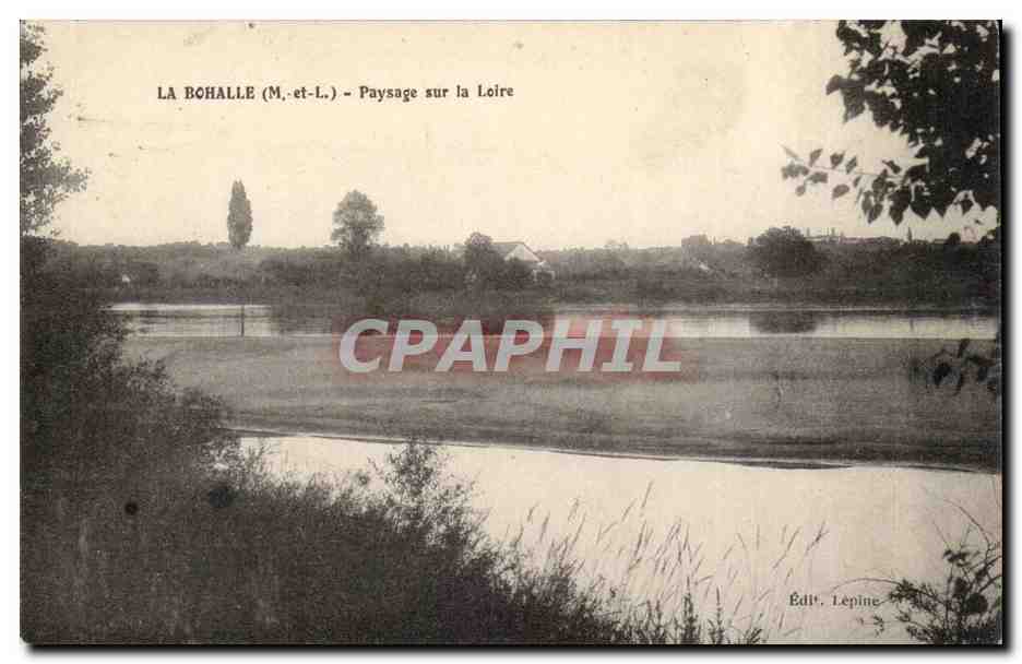 La Bohalle CPA Paysage sur la Loire