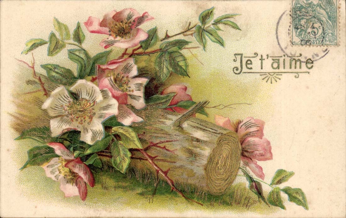 Fantaisie - Fleurs - Je t'aime - Emie Verain - CPA 