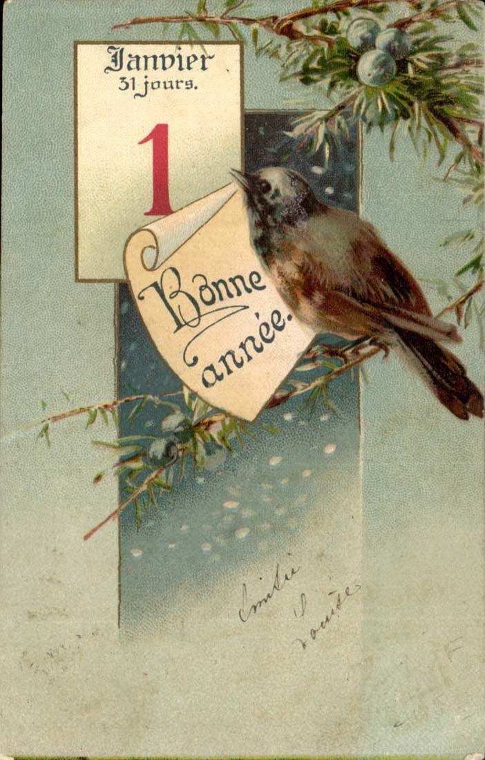 Vogel auf Tanne — Januar 31 Tage, 1. Tag, Frohe Neujahr — Verlag nicht sichtbar