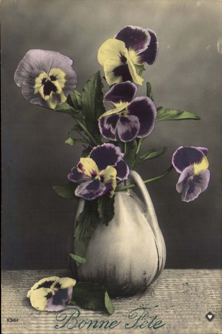 Fantaisie - Bonne Fete - Pensee - pansies CPA 