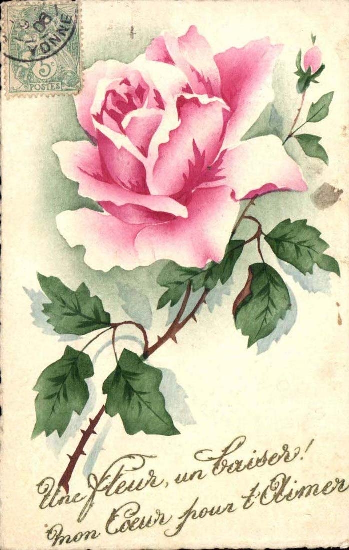 Fantaisie - Une fleur un baiser Mon coeur pour t'aimer - rose - CPA - Recto