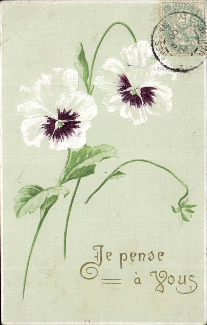 Fantaisie - Fleur - Pensee je pense a vous - pansies and silver writing - CPA 