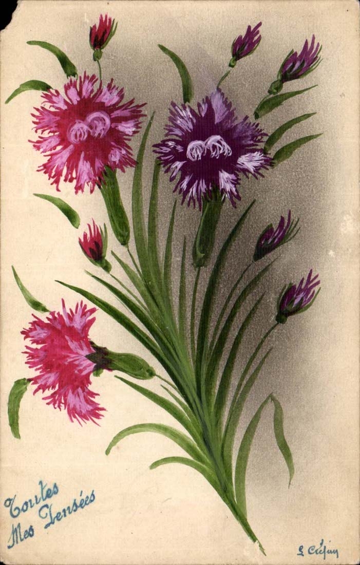 Fantaisie - Fleurs - Mes Toutes mes Prnsees - CPA 
