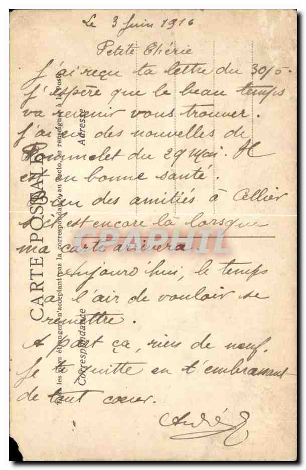 Fantaisie - Fleurs - Mes Toutes mes Prnsees - CPA  — Verso