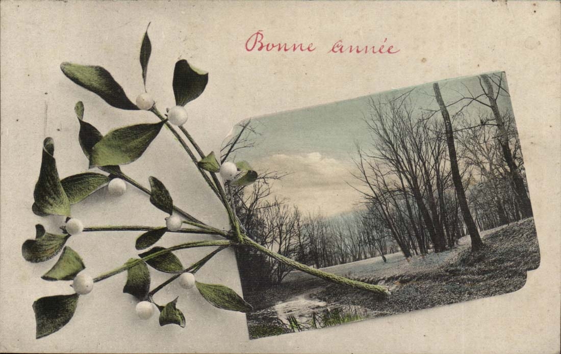 CPA FAntaisie Bonne annee Fleurs