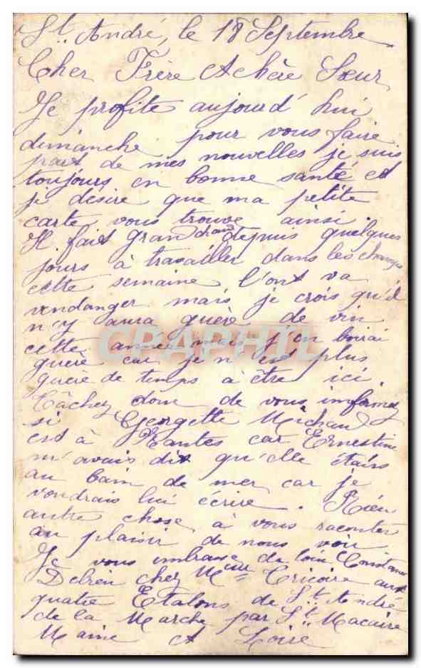 Petite fille assise sur un tronc d'arbre — roses — éditeur Souvenir affectueux n°3124 — Rückseite