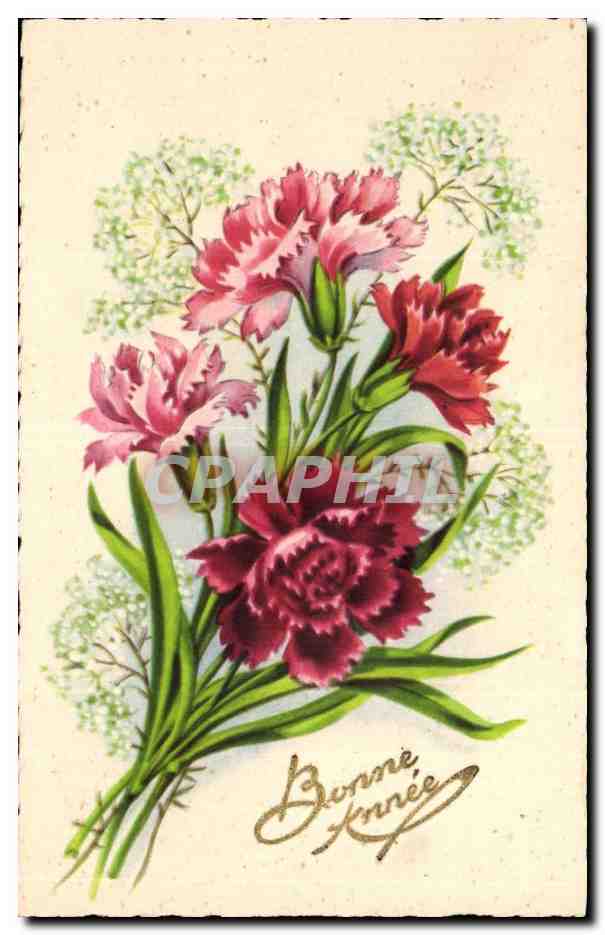 CPA FAntaisie Fleurs Bonne annee