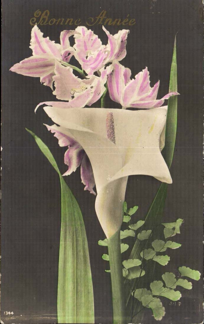 CPA FAntaisie Fleurs Bonne annee 