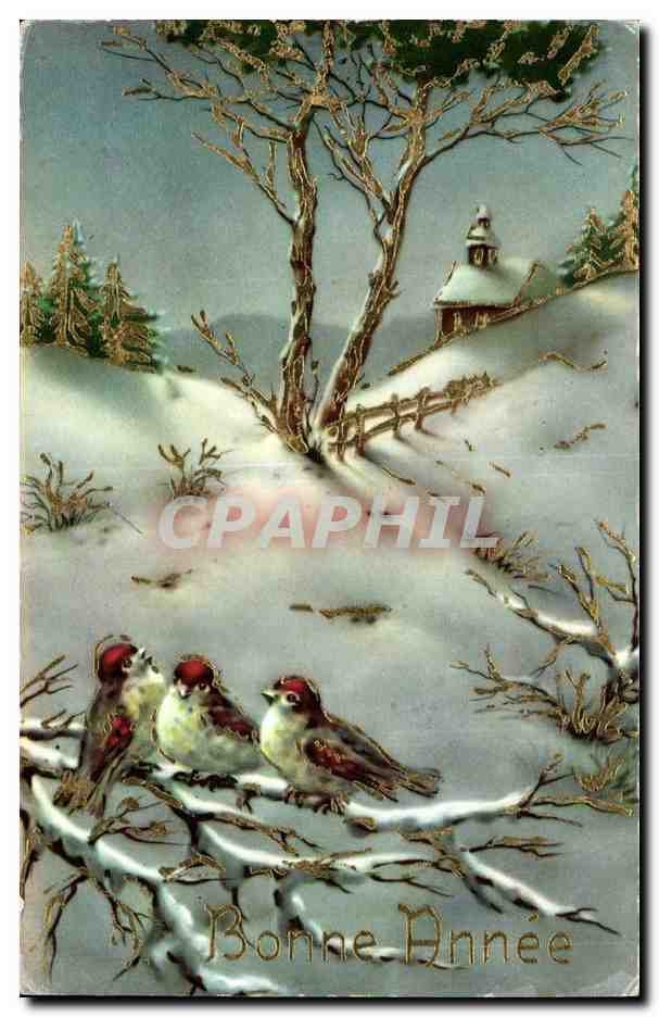 CPA FAntaisie Bonne annee Oiseaux