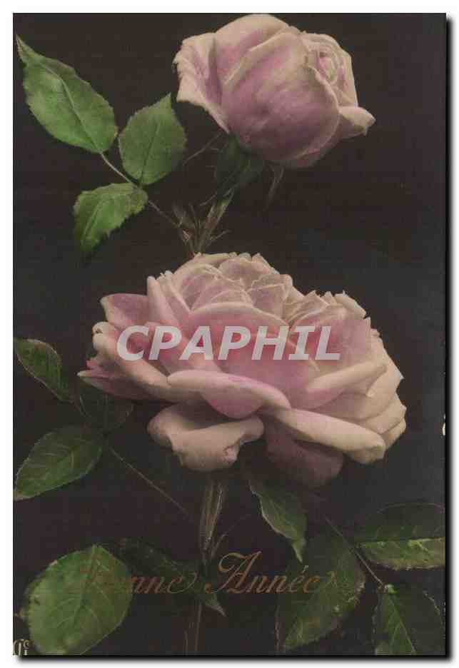 CPA FAntaisie Bonne annee Rose