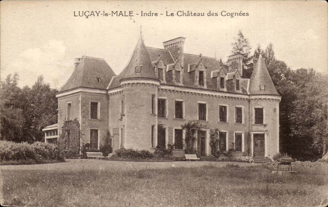 Luçay-le-Male - Indre - Le Château des Cognées