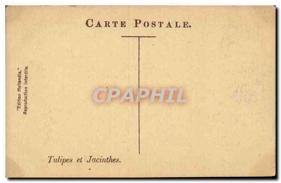 CPA Pays Bas Tulipes et jacinthes Folklore Costumes — Verso