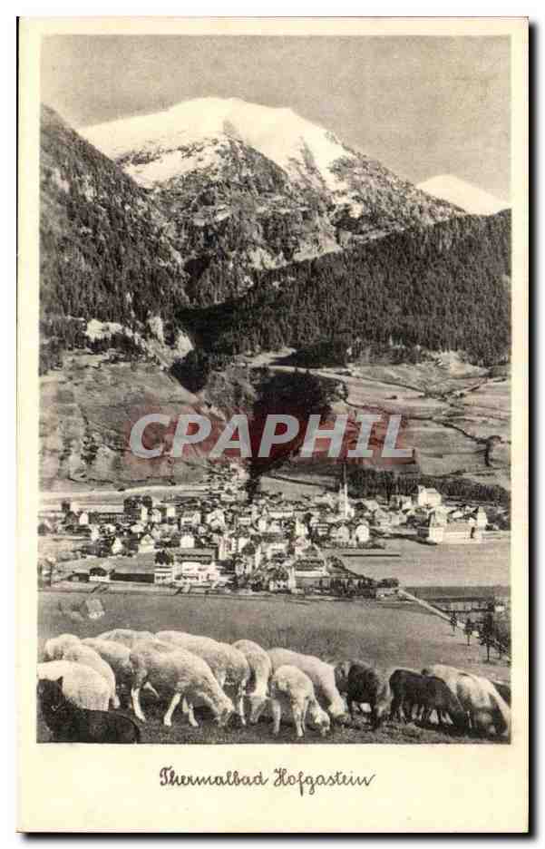 Autriche Austria osterreich CPA Thermalbad Hofhastein (moutons)