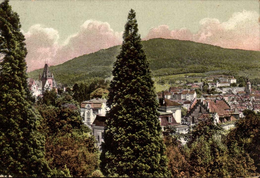 Allemagne CPA Baden Baden Blick vom Friesenberg