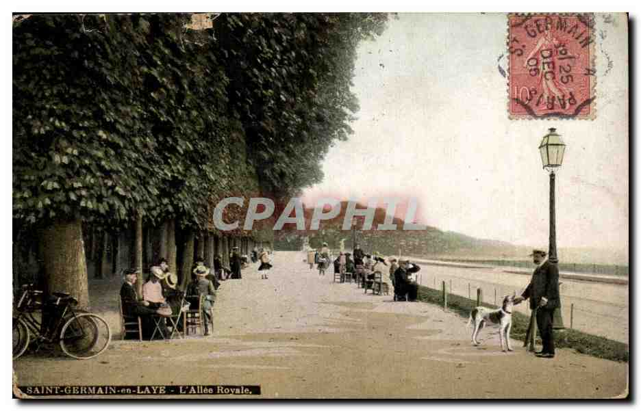 Saint Germain en Laye CPA L'allee royale