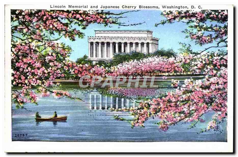 Etats Unis Lincoln memorial and Japanese Cherry Blossoms Washington