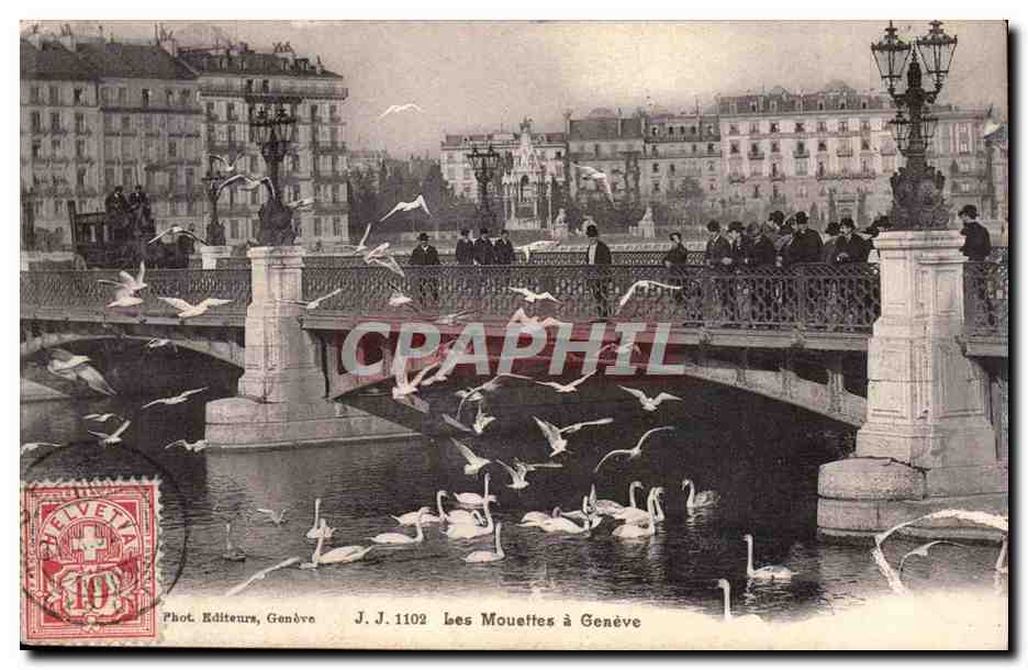Suisse Geneve CPA Les mouettes