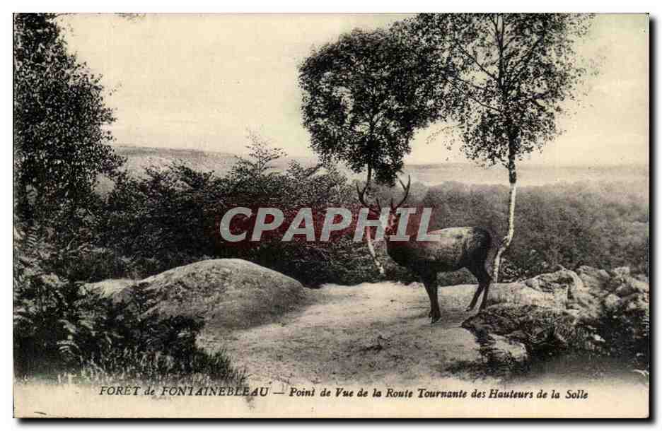 Forêt de Fontainebleau — Point de Vue de la Route Tournante des Hauteurs de la Solle
