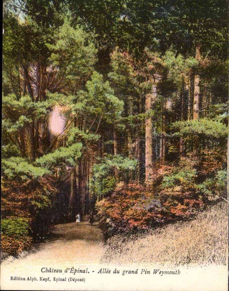 CPA Chateau d'Epinal Allee du grand Pin Weymouth