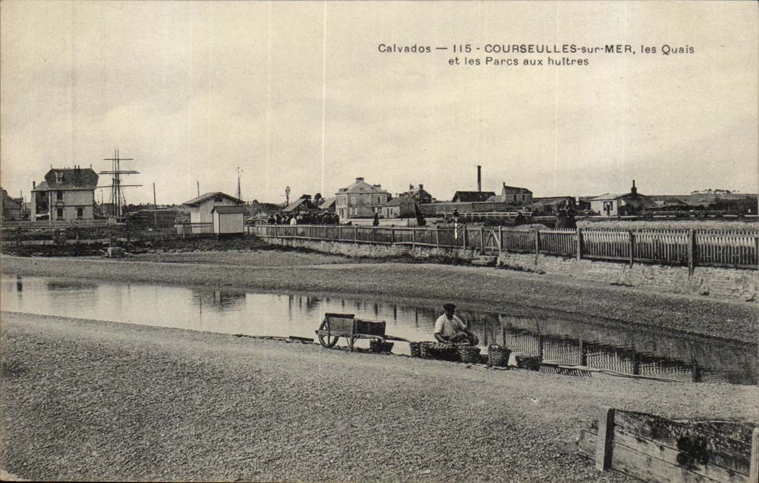 Courseulles sur Mer CPA les quais et les parcs a huitres (ostreiculture)
