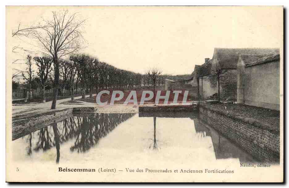 Boiscommon CPA Vue des promenades et anciennes fortifications