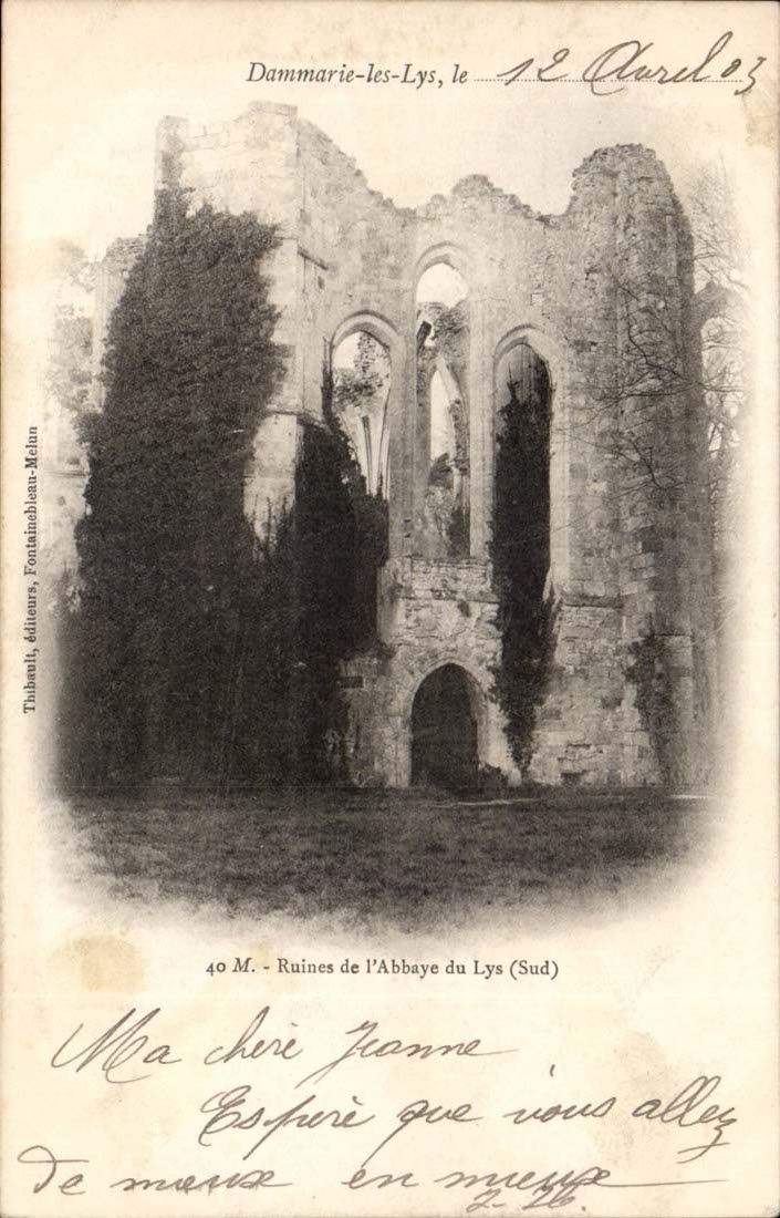 Dammarie les Lys CPA Ruines de l'abbaye du Lys (sud)