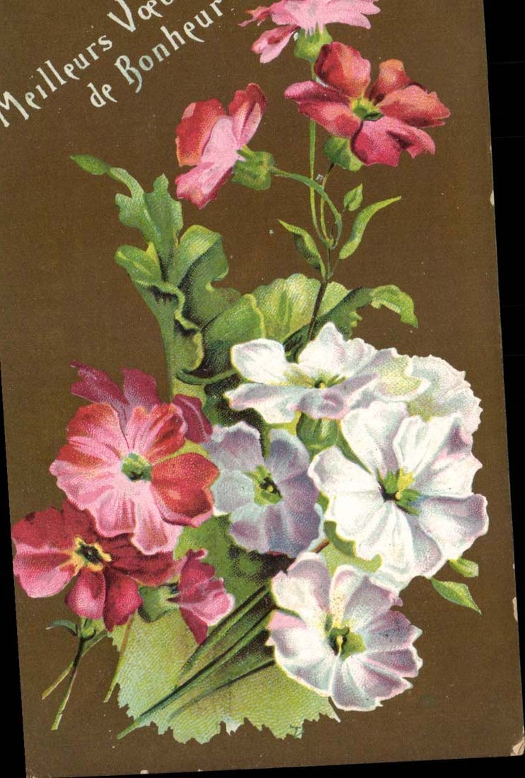 CPA FAntaisie Fleur Meilleurs voeux de bonheur