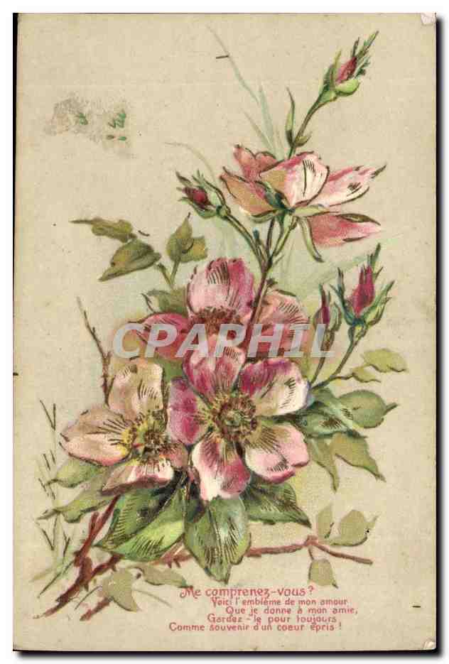 Fleurs de rose — Poème d'amour — Éditeur non visible